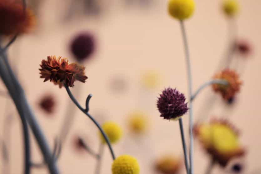 طراحی عطاری و کلینیک طب سنتی در چین