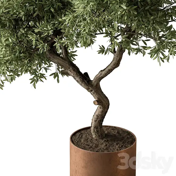 مدل سه بعدی گل و گیاه