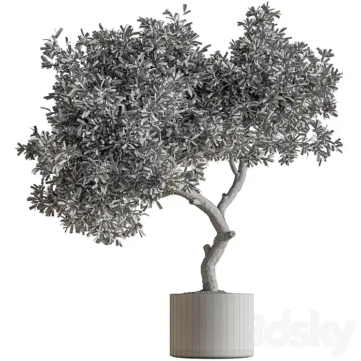 مدل سه بعدی گیاهان گلدانی